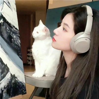 拍摄中海报